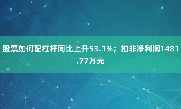 股票如何配杠杆同比上升53.1%；扣非净利润1481.77万元