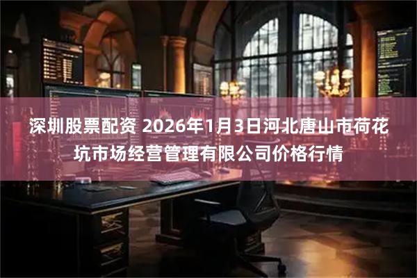 深圳股票配资 2026年1月3日河北唐山市荷花坑市场经营管理有限公司价格行情